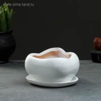 Горшок "Бонсай" для кактусов и суккулентов, малый белый, 0 6 л/ 14х18см