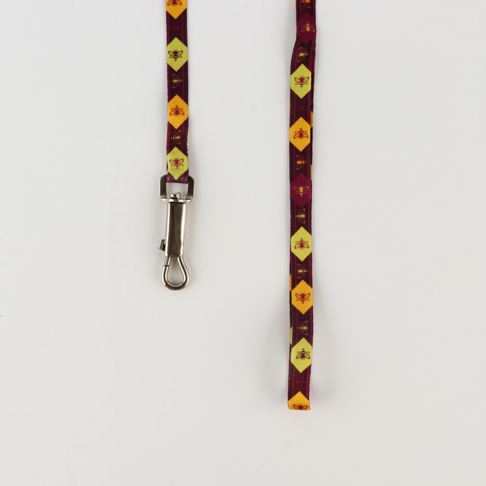 Комплект &laquo;Пчёлы&raquo;, шлейка 24-36 см, поводок 120х1 см