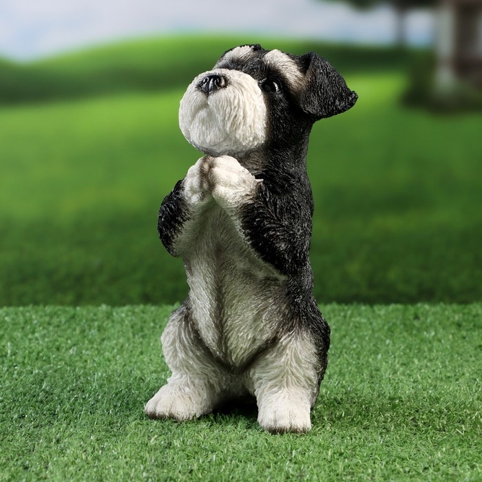 Садовая фигура Садовая фигура "Попрошайка Шнауцер" 9х10х21см