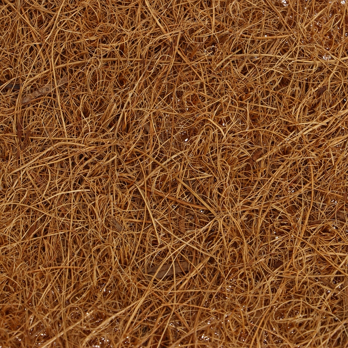 Коврик из кокосового волокна, для выращивания микрозелени, 50 &times; 25 см, Greengo