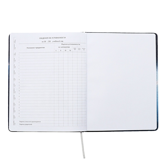 Дневник универсальный для 1-11 класса Football Time, твёрдая обложка, искусственная кожа, с поролоном, ляссе, 80 г/м2