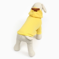 Толстовка "Бананза!", размер XL (ДС 40, ОГ 56 см) Толстовка "Бананза!", размер XL (ДС 40, ОГ 56 см)