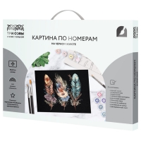 Картина по номерам «Легкость пера», 30 × 40 см, на черном холсте Картина по номерам «Легкость пера», 30 × 40 см, на черном холсте