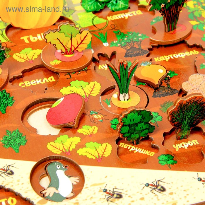 Набор &laquo;Овощи на грядке&raquo;