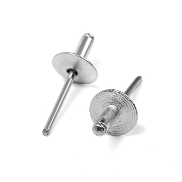 Заклепки вытяжные ТУНДРА krep, алюминий-сталь, увел.борт 14 мм, 4.8х12 мм, 250 шт. Заклепки вытяжные ТУНДРА krep, алюминий-сталь, увел.борт 14 мм, 4.8х12 мм, 250 шт.