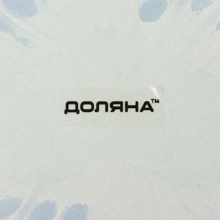 Блюдо сервировочное стеклянное овальное Доляна «Романтичный киви», 24,5×15 см, цвет зелёный Блюдо сервировочное стеклянное овальное Доляна «Романтичный киви», 24,5×15 см, цвет зелёный