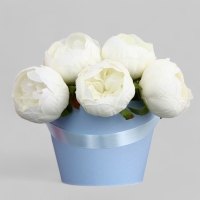 Переноска конус под цветы, голубая 11,5 х 17 х 12 см Переноска конус под цветы, голубая 11,5 х 17 х 12 см