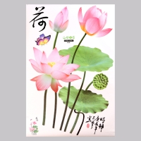 Наклейка 3Д интерьерная Лотос 110*60см Наклейка 3Д интерьерная Лотос 110*60см