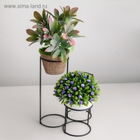 Подставка для цветов Доляна «Каскад», d=8,3см., 18×17×22 см, цвет чёрный Подставка для цветов Доляна «Каскад», d=8,3см., 18×17×22 см, цвет чёрный