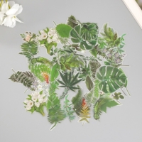 Наклейки для творчества пластик PVC "Зеленые листья" набор 60 шт 10х14 см