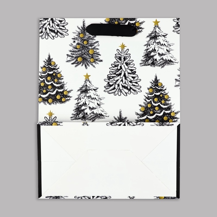 Пакет подарочный новогодний ламинированный &laquo;Зимняя сказка&raquo;, MS 23 x 18 х 10 см