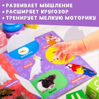 Книжка картонная с окошками &laquo;Животные&raquo;, 10 стр.