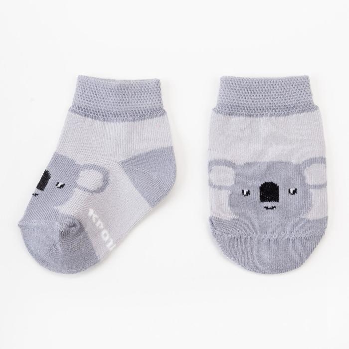 Набор носков Крошка Я &laquo;Коала&raquo;, 2 пары, 6-8