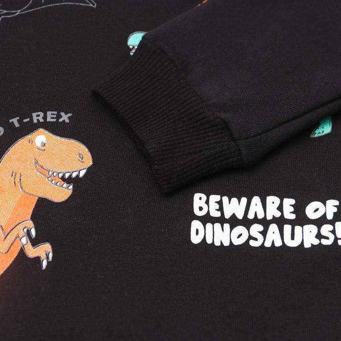 Свитшот для мальчика, НАЧЁС, цвет чёрный, рост 80 см