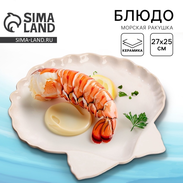 Блюдо керамическое «Морская ракушка», 27 х 25 см, цвет белый Блюдо керамическое «Морская ракушка», 27 х 25 см, цвет белый