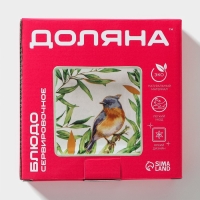 Блюдо сервировочное Доляна &laquo;Уютные коты&raquo;, 15&times;15&times;3 см, цвет белый