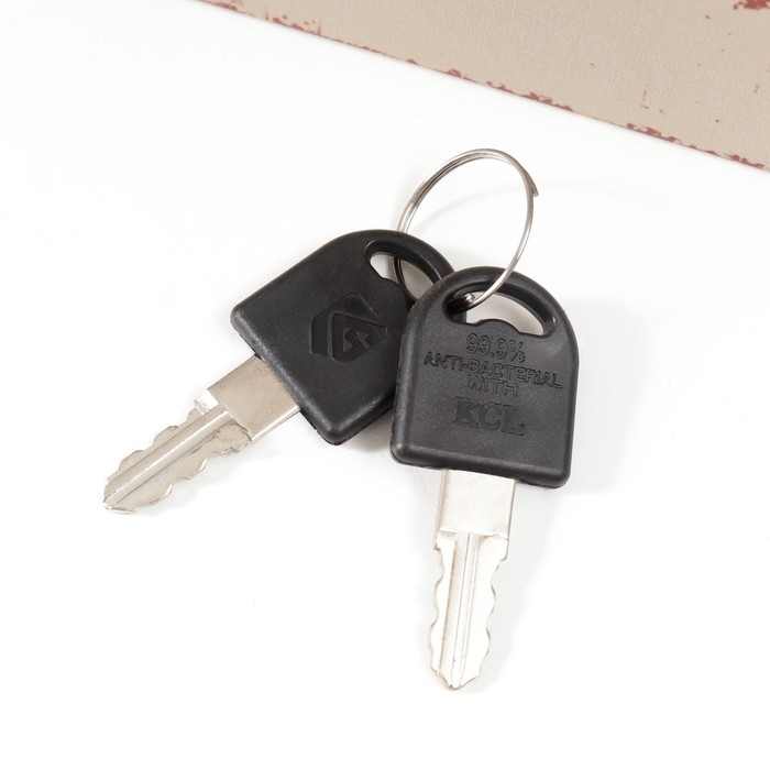 Сейф-книга дерево кожзам "Перо" 17х11х5 см