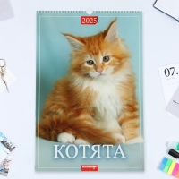 Календарь перекидной на ригеле А3 "Котята" 2025, 32 х 48 см Календарь перекидной на ригеле А3 "Котята" 2025, 32 х 48 см