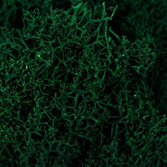 Мох стабилизированный "Трава" 45 гр (+-5 гр)