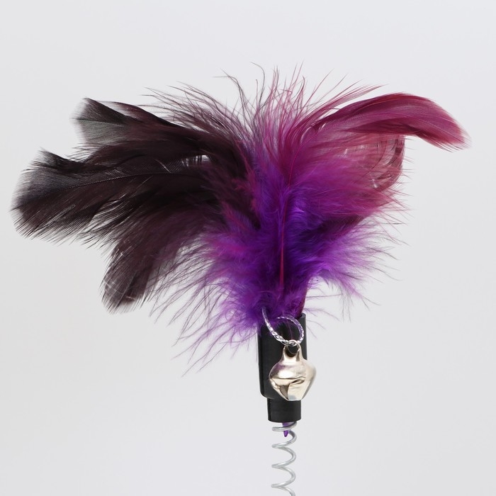 Дразнилка на основании Дразнилка на основании "Фестивальная", 15 см, тёмно-фиолетовая/светло-голубая