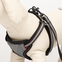 Комплект амуниции светоотражающий, размер S, ОГ 35-60 см, стропа 1,5 см, серый