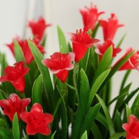 Бонсай в горшке "Гусмания и зелень" 9х18 см, микс Бонсай в горшке "Гусмания и зелень" 9х18 см, микс