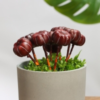 Набор штекеров "Тыковка" 30шт, 4х2см Набор штекеров "Тыковка" 30шт, 4х2см