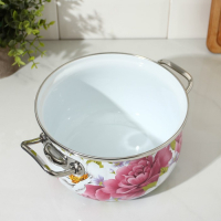 Кастрюля эмалированная «Пион», 3.1 л, индукция Кастрюля эмалированная «Пион», 3.1 л, индукция