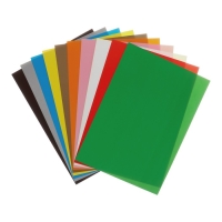 Картон цветной А4 10 листов, 10 цветов "Волшебный" мелованный, одностороний, 200г/м&sup2; Calligrata, в папке