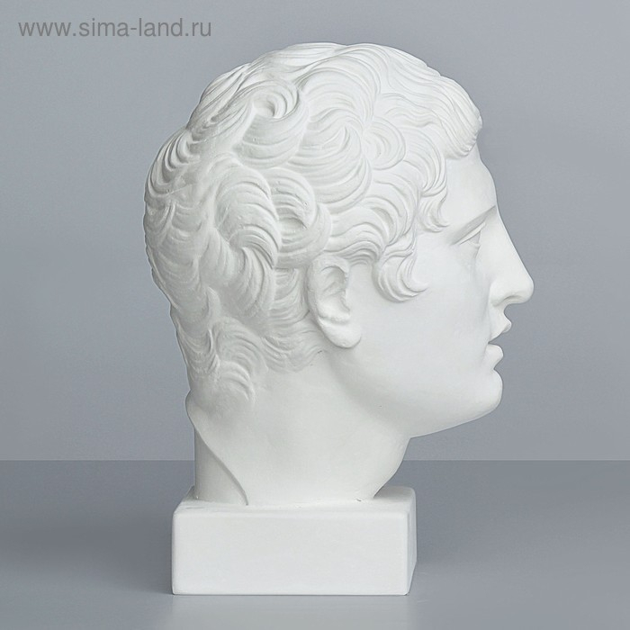 Гипсовая фигура Голова Дискобола, 21 х 23 х 34 см