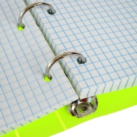 Тетрадь на кольцах A5 80 листов в клетку Calligrata Салатовая, пластиковая обложка, блок офсет Тетрадь на кольцах A5 80 листов в клетку Calligrata Салатовая, пластиковая обложка, блок офсет