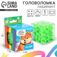 Головоломка лабиринт с шариком &laquo;Усердие&raquo;