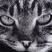 Полотенце махровое Этель ЧБ &laquo;Котик&raquo; 50х90 см