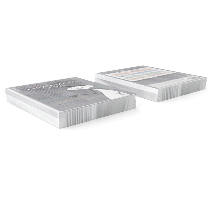 Тетрадь предметная АНГЛИЙСКИЙ ЯЗЫК, 48 листов в клетку, ErichKrause Тетрадь предметная АНГЛИЙСКИЙ ЯЗЫК, 48 листов в клетку, ErichKrause "Чубрик", пластиковая обложка, шелкография, блок офсет 100% белизна, инфо-блок