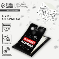 Бум-открытка &laquo;Сюрпрайз&raquo;, 12 &times; 18,5 см