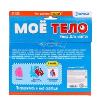 Набор для опытов &laquo;Моё тело&raquo;, сердце