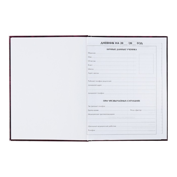 Дневник универсальный для 1-11 классов, "Смайл 2", твердая обложка 7БЦ, глянцевая ламинация, 40 листов