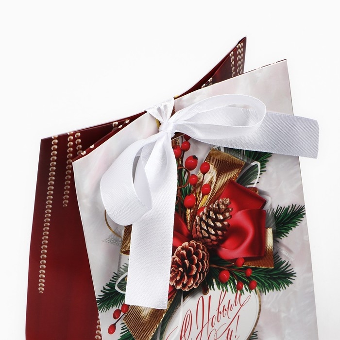 Пакет подарочный новогодний с лентой &laquo;Новый год&raquo;, 13 х 19 х 9 см , Новый год