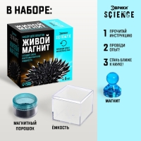 Набор для опытов &laquo;Живой магнит&raquo;