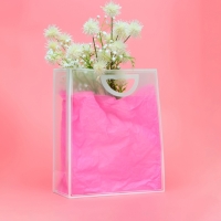 Пакет ПП с вырубной ручкой, прозрачный, 36 х 30 х 13 см,белый Пакет ПП с вырубной ручкой, прозрачный, 36 х 30 х 13 см,белый