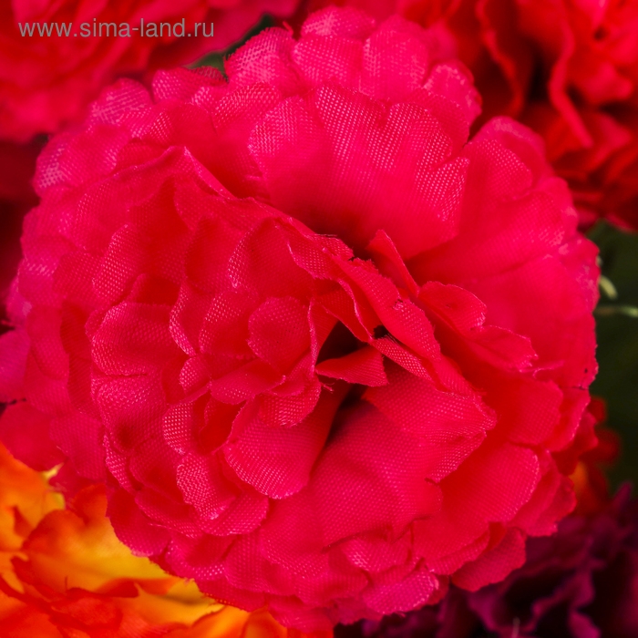 Букет "Гвоздики" 5х25 см, микс