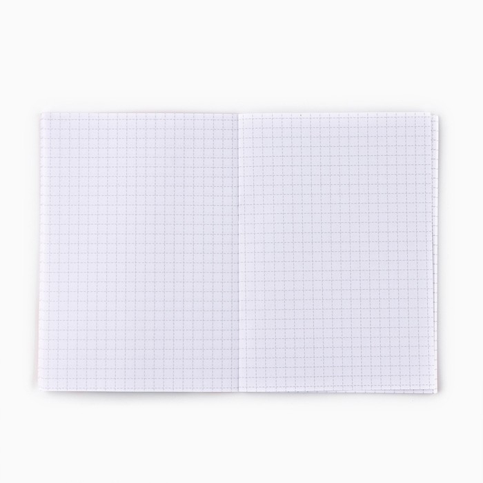 Подарочный набор новогодний, блокнот и ручка пиши-стирай &laquo;Волшебство рядом&raquo;