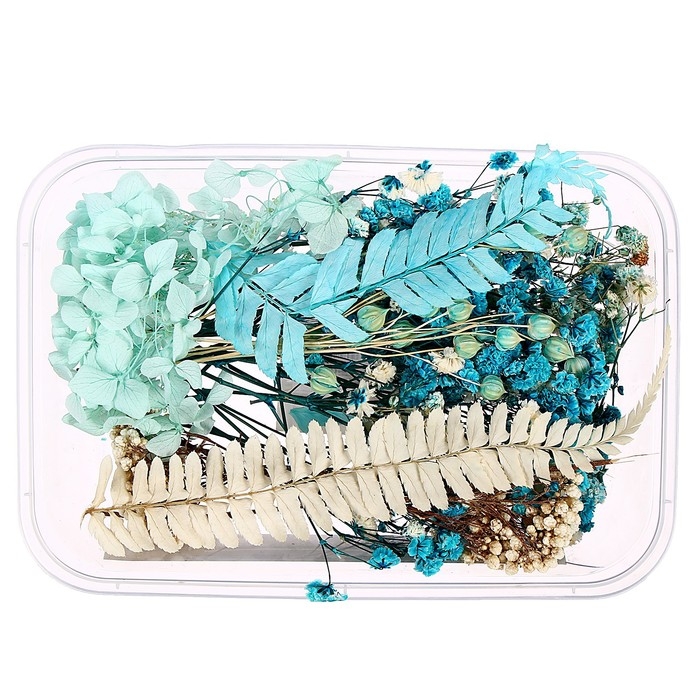 Набор для творчества «Набор сухоцветов», большой, голубой Набор для творчества «Набор сухоцветов», большой, голубой