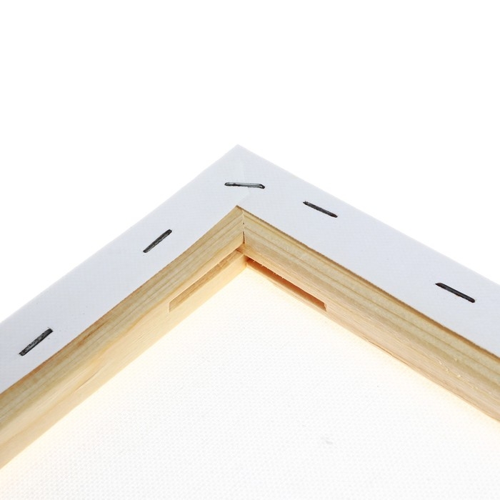 Холст на подрамнике 1,6х50х70 см, Calligrata, хлопок 100%, акриловый грунт, среднезернистый, 380г/м&sup2;