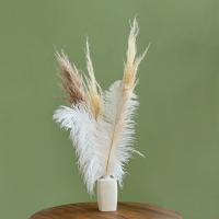 Перо для декора 1 шт., длина от 45 до 60 см, цвет белый