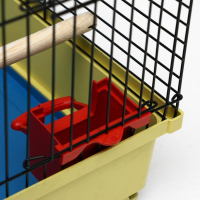 Клетка для птиц "Грация", 49 х 36 х 37 см, микс цветов Клетка для птиц "Грация", 49 х 36 х 37 см, микс цветов