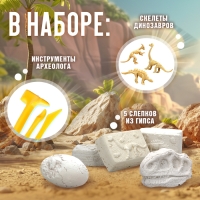 Набор для раскопок &laquo;Эра динозавров&raquo;