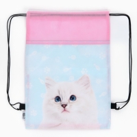 Мешок для обуви &laquo;Мысли кота&raquo; нетканное полотно, размер 30 х 40 см МИКС