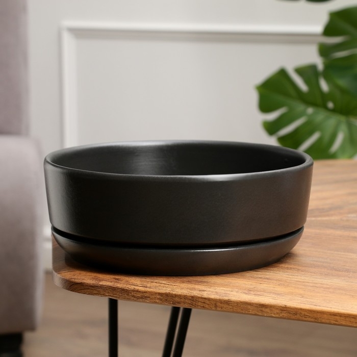 Горшок бонсайница "Огма" для кактусов и суккулентов, черная, 3 л