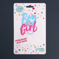 Гендер-пати. Топпер акрил Boy or Girl Гендер-пати. Топпер акрил Boy or Girl